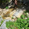 kenigzee 0036